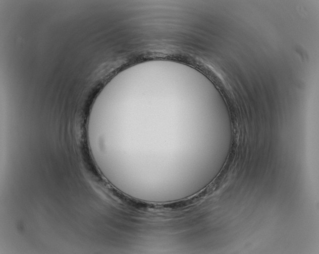 X0000112160455200908070942