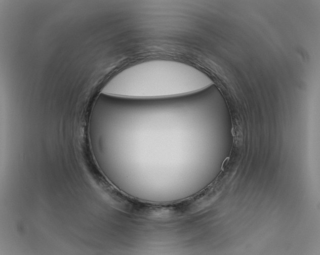 X0000112160456200908070942