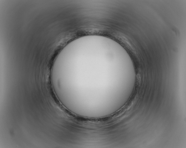 X0000112160458200908070942
