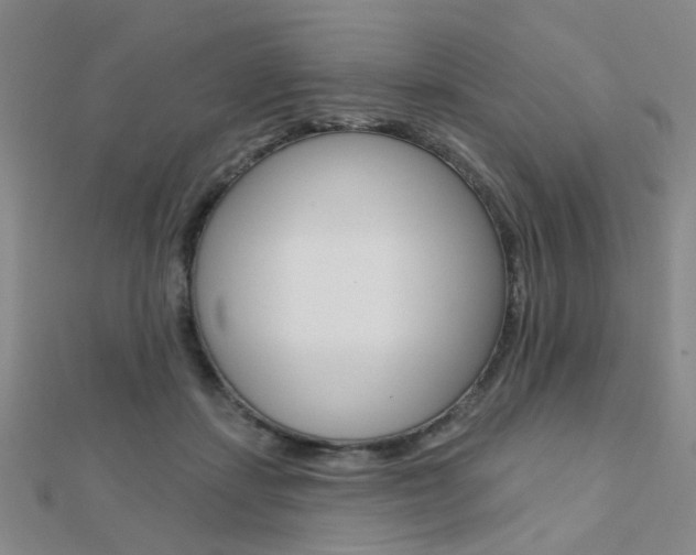 X0000112160459200908070942