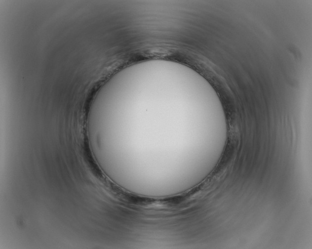 X0000112160460200908070942