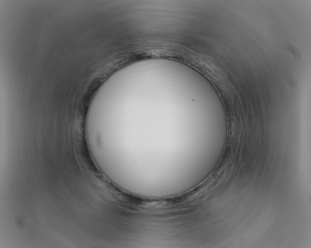 X0000112160461200908070942