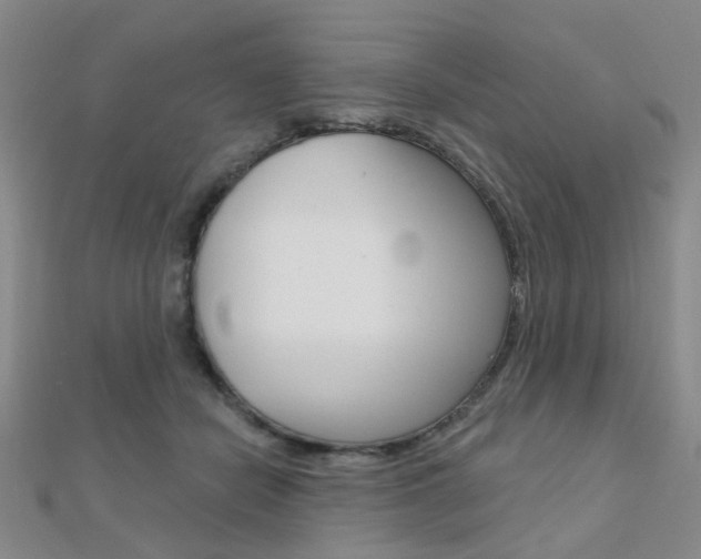 X0000112160462200908070942