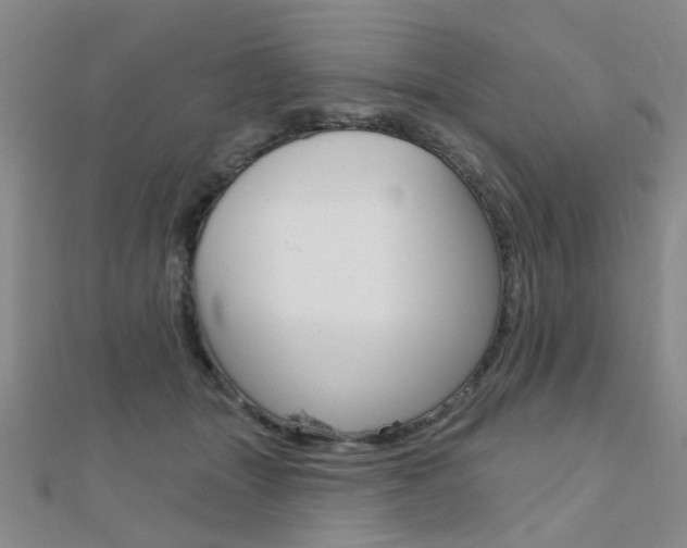 X0000112160463200908070942