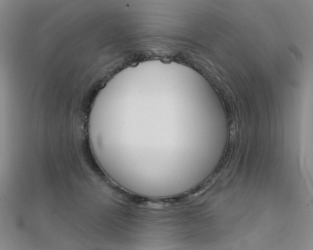X0000112160464200908070942