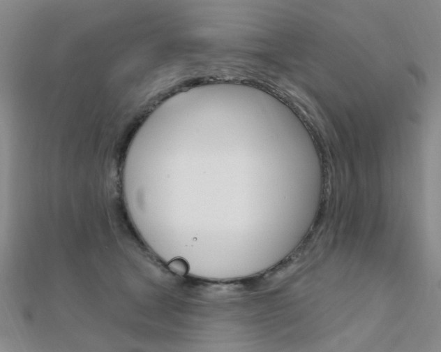 X0000112160465200908070942