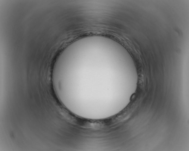 X0000112160466200908070942