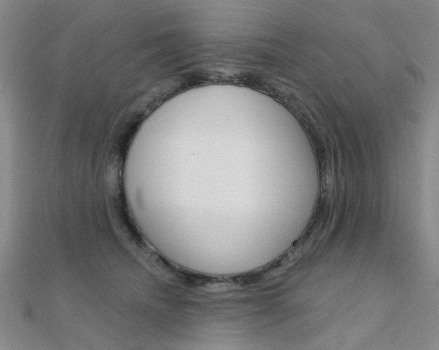 X0000112160468200908070942