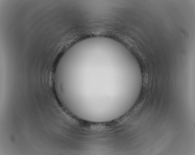 X0000112160470200908070942