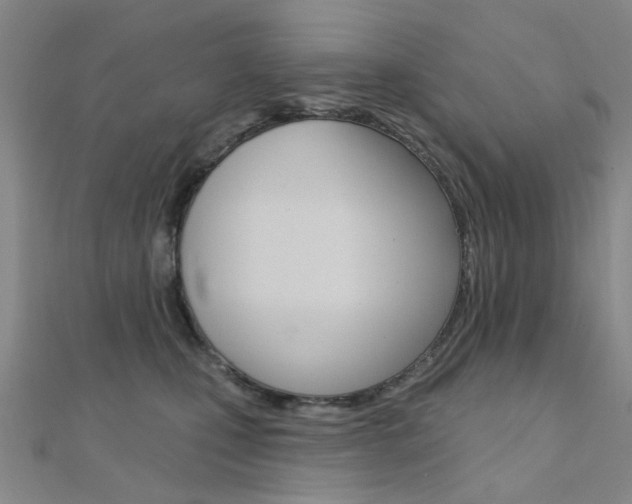 X0000112160471200908070942