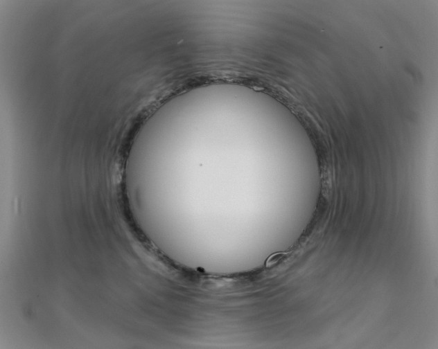 X0000112160472200908070942
