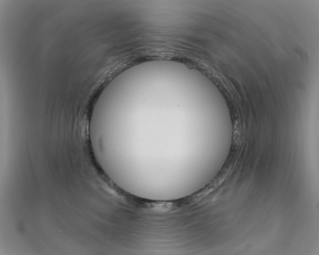 X0000112160474200908070942