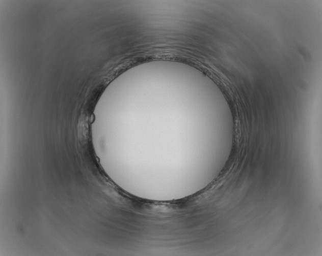 X0000112160475200908070942