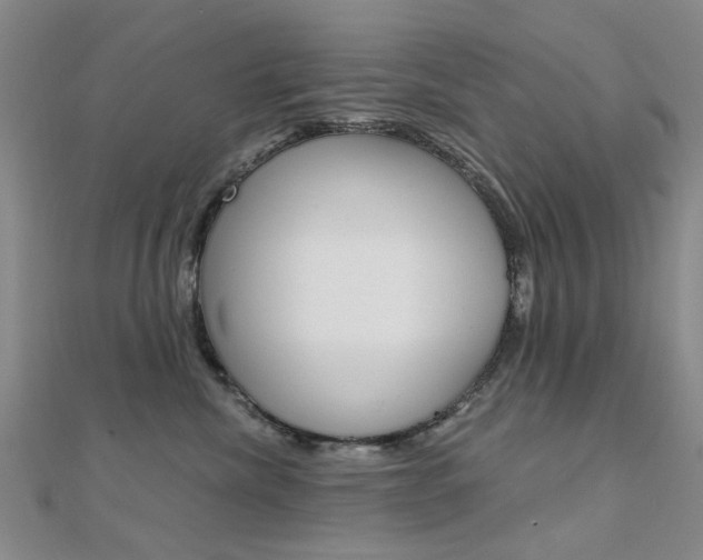 X0000112160476200908070942