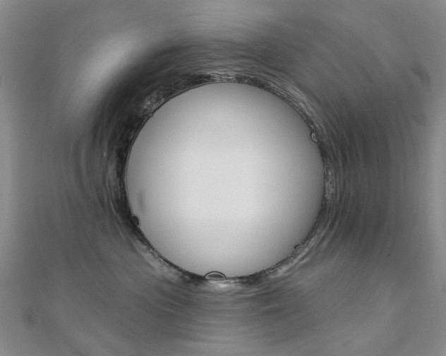 X0000112160477200908070942