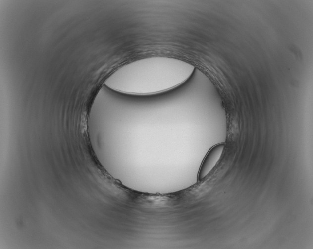 X0000112160478200908070942