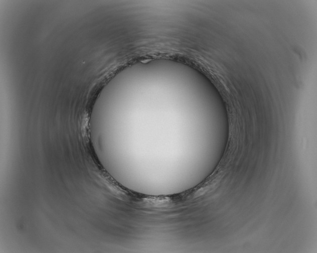 X0000112160480200908070942