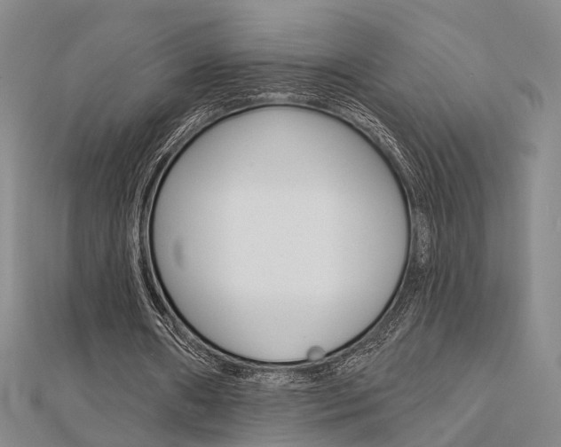 X0000112160482200908070941