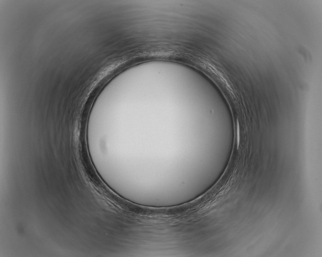 X0000112160483200908070941