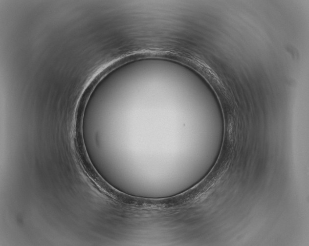 X0000112160484200908070941