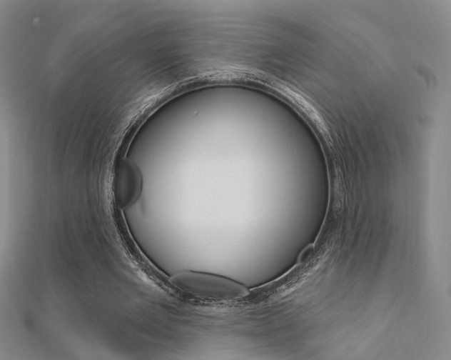 X0000112160485200908070941