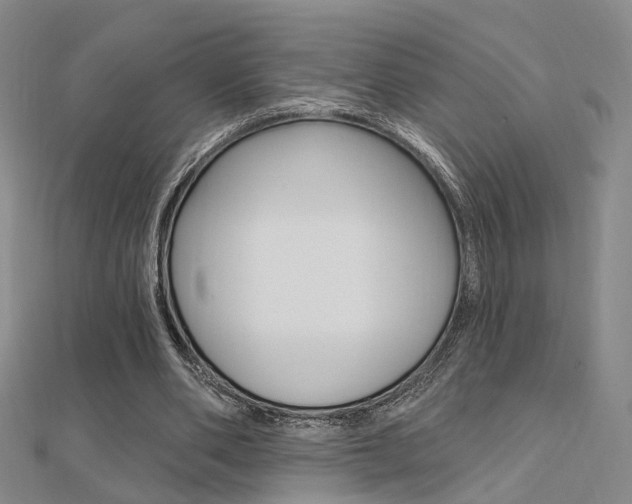 X0000112160486200908070941