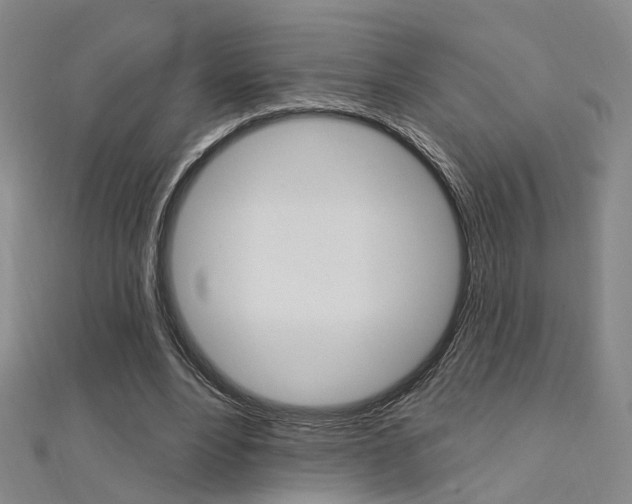 X0000112160488200908070941