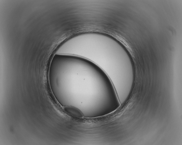 X0000112160489200908070941
