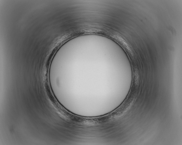 X0000112160490200908070941