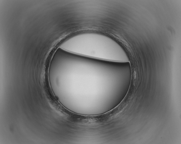 X0000112160492200908070941