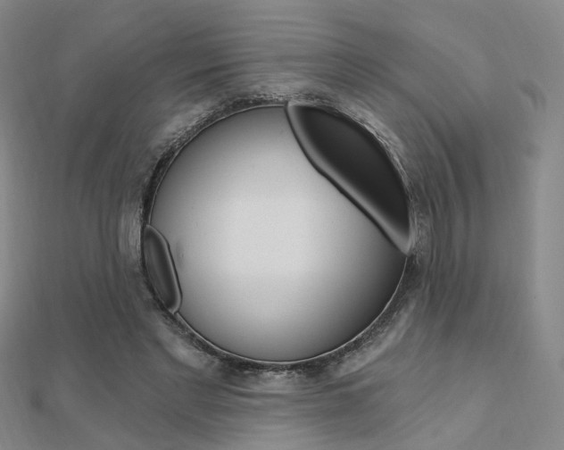 X0000112160493200908070941