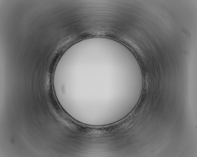 X0000112160494200908070941
