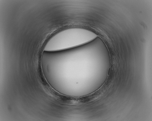 X0000112160496200908070941