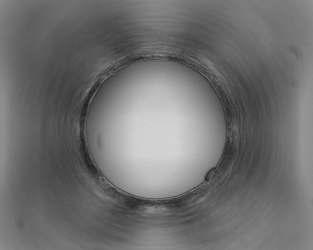 X0000112160500200908070941