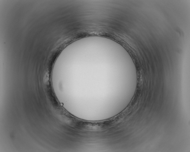 X0000112160502200908070941