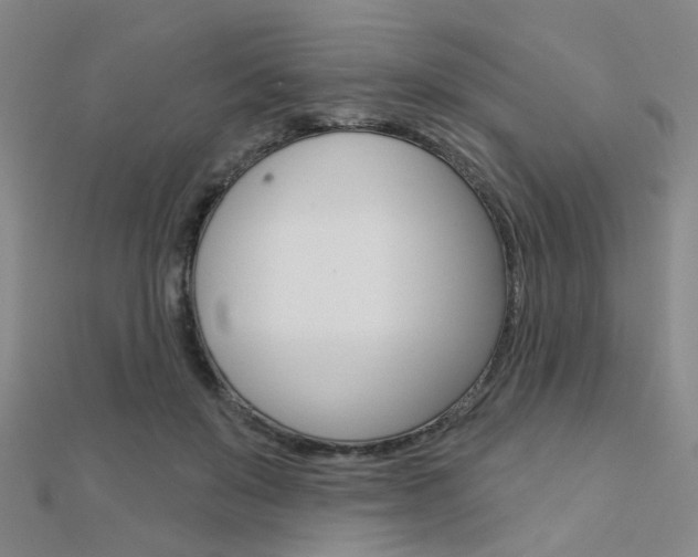 X0000112160503200908070941