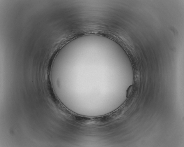 X0000112160504200908070941