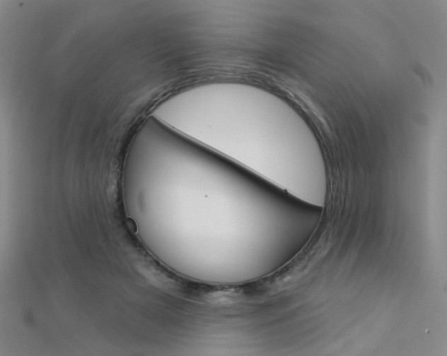 X0000112160505200908070941