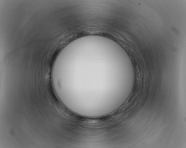 X0000112160507200908070941