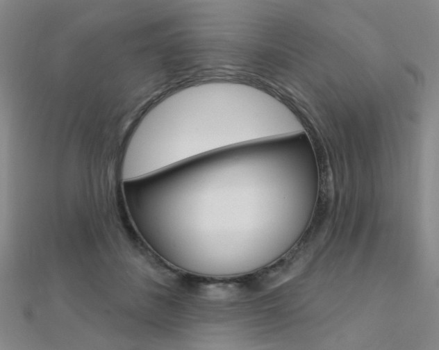 X0000112160508200908070941