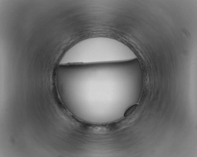 X0000112160512200908070941