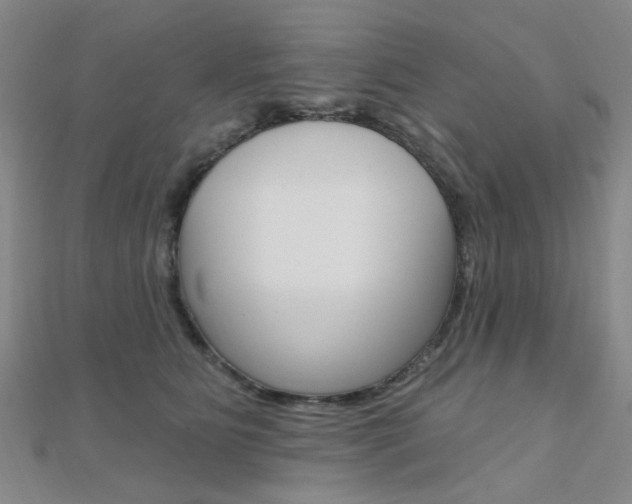 X0000112160515200908070941