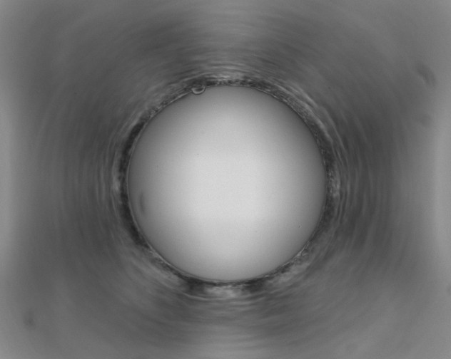 X0000112160516200908070941