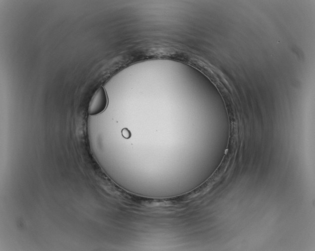 X0000112160517200908070941