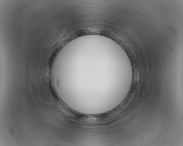 X0000112160518200908070941