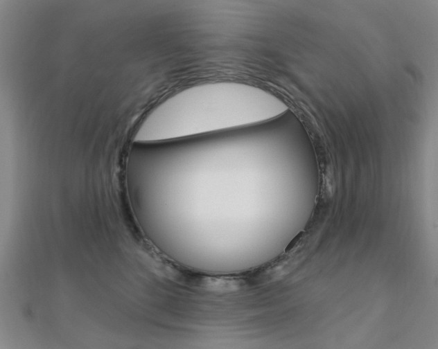 X0000112160520200908070941
