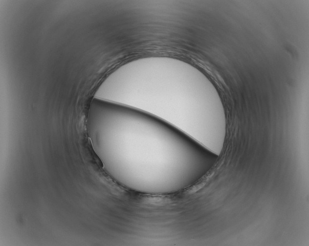 X0000112160521200908070941
