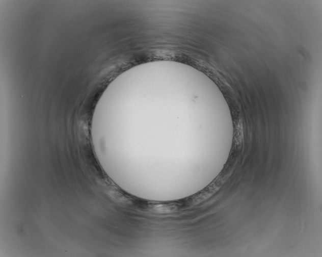 X0000112160522200908070941
