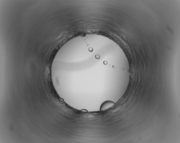 X0000112160523200908070941