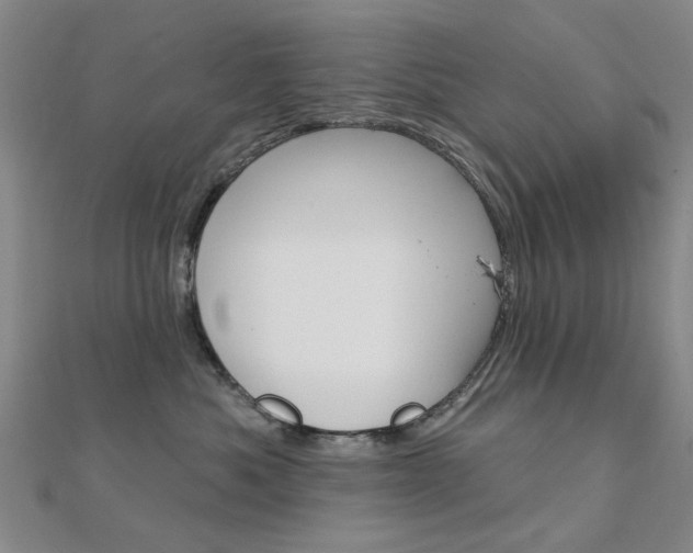 X0000112160525200908070941